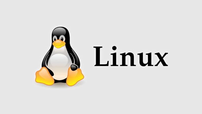 Tipe File yang Digunakan Oleh Linux Secara Umum Adalah