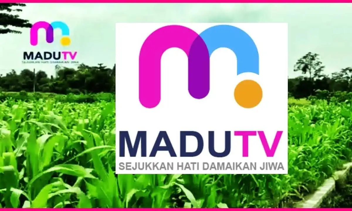 frekuensi madu tv