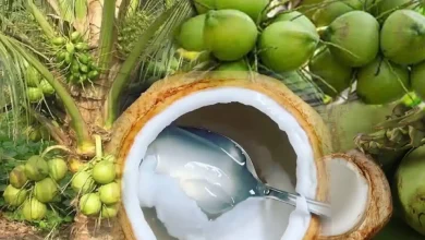 ຜົນປະໂຫຍດຂອງນ້ຳຫມາກພ້າວ