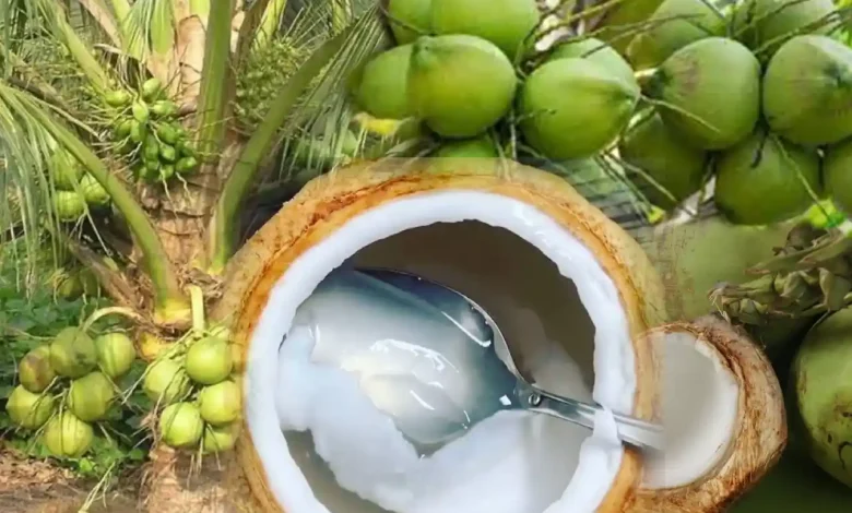 ຜົນປະໂຫຍດຂອງນ້ຳຫມາກພ້າວ